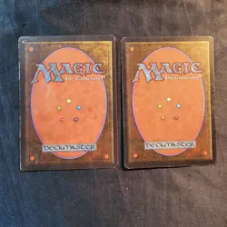 MAGIC THE GATHERING CARDS EARLY 1990's,FOREST #1 CHECK PICTURES BIDDING ON THESE - Image 2