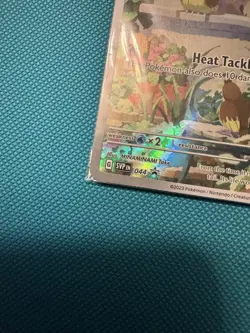 Pokemon Charmander Promo SVP 044 Obsidian Flames Sealed - Image 5