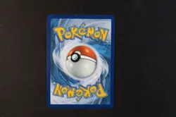 Dachsbun ex 067/142 Holo Shiny Pokemon Shiny TCG Card Stellar Crown NEAR MINT - Image 2