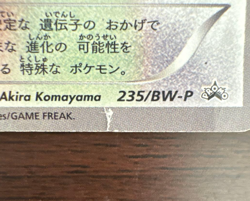 Eevee 235/BW-P 7 Eleven Promo Pokemon Fair Pokemon Japanese - Image 3