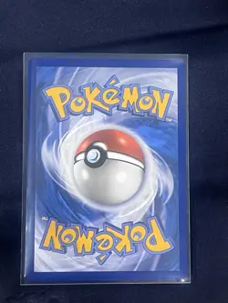 Stellar Crown 113/142 Eevee Regular NM Pokemon TCG Card - Image 2