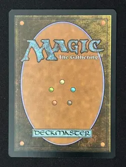 1x MTG Shipwreck Marsh (Borderless) - Innistrad: Midnight Hunt (MID) #285 - Image 2