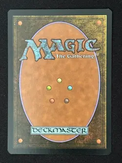 1x MTG Shipwreck Marsh (Borderless) - Innistrad: Midnight Hunt (MID) #285 - Image 4