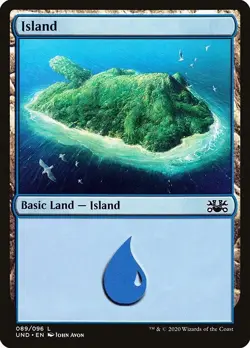 Island #089/096 MTG Unsanctioned UND Common Basic Land Near Mint - Image 1
