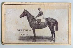 1922 Thorp's Factory Almond Whipped Bar Card Jockeys Cotswold & A. Doy - Rare - Image 1