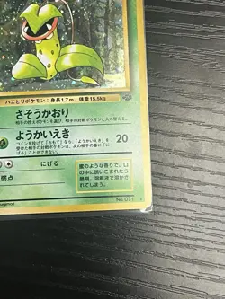 Pokemon TCG Victreebel No. 071 Jungle Vintage Holo Rare Japanese WOTC 1999 MP - Image 5