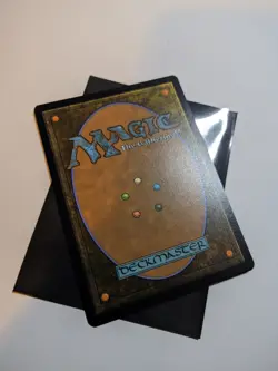 Flashback (Extended Art) (R) #333 Secrets of Strixhaven MTG NM - Image 2