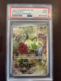 Pokemon TCG Sprigatito Holo Illustration Rare Card 196/193 Sv02 PSA 9 - Image 1