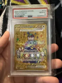 Pokemon TCG Terapagos EX Gold Hyper Rare 173/142 Stellar Crown Gold PSA 10 - Image 1