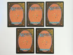MTG Secret Lair x Dungeons & Dragons: Lands of Forgotten Realms Foil Set of 5 - Image 2