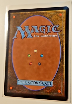 Thundering Falls 0269 Foil Rare Surveil Land NM MTG Murders At Karlov Manor - Image 4