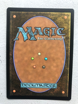 Mtg Magic MH3 Modern Horizons 3 Plains Borderless JPN FOIL NM - Image 2