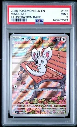 Pokemon TCG Minccino 152/086 Illustration Rare Sv: Black Bolt PSA 9 Mint - Image 1