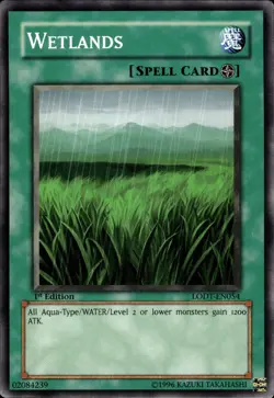 Wetlands - 1st Edition LODT-EN054 - LP - YuGiOh - Image 1