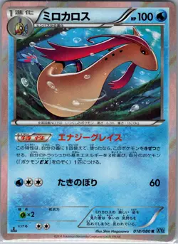 Milotic 018/080 Holo - Japanese XY2: Wild Blaze - Pokemon Card - NM - Image 1