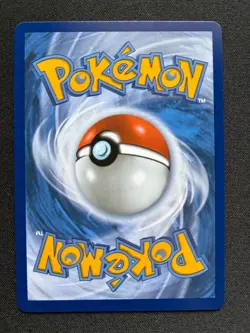 Kyogre ex 178 Holo Promo Scarlet & Violet Promo Pokemon - Image 2