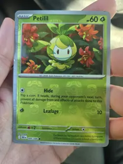 Petilil 006/086 Masterball Holo Sv: Black Bolt Pokemon Card - Image 1
