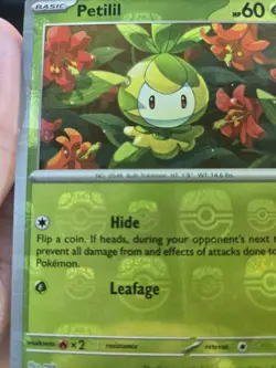 Petilil 006/086 Masterball Holo Sv: Black Bolt Pokemon Card - Image 2