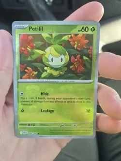 Petilil 006/086 Masterball Holo Sv: Black Bolt Pokemon Card - Image 3