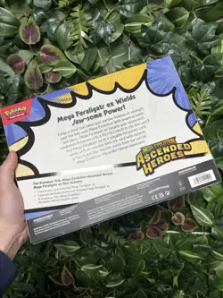 Pokemon TCG Ascended Heroes Mega Feraligatr Ex Box New & Sealed & Fast Dispatch - Image 4