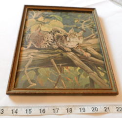Vintage 1957 Framed Lithograph "The Bobcat" by Francis Lee Jaques Wildlife - Image 1
