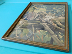 Vintage 1957 Framed Lithograph "The Bobcat" by Francis Lee Jaques Wildlife - Image 4