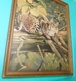 Vintage 1957 Framed Lithograph "The Bobcat" by Francis Lee Jaques Wildlife - Image 5
