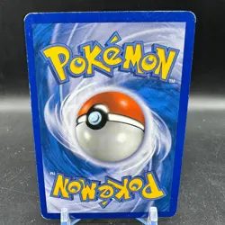 Pokemon TCG Turtwig - 17/17 - Pop 6 - Common - Holo POP Series LP - Image 2