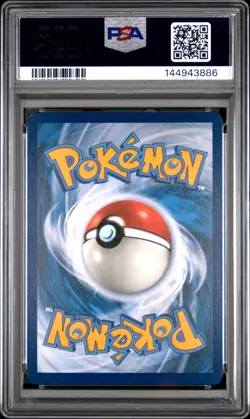 Raging Bolt EX 208/162 Special Illustration Rare Pokemon PSA 8 *886 - Image 2