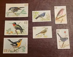 1918 Dwight's Soda Co."Useful Birds Of America" Trading Cards 7 of 30 - Image 1