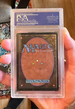 VTG 1993 Magic The Gathering MTG Beta Llanowar Elves Card PSA 6 EX-MT - Image 3