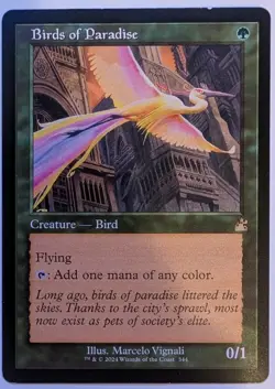 Birds of Paradise (Retro Frame) Ravnica Remastered Regular LP - Image 1