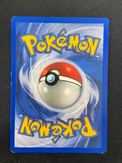 Raticate - 6/18 Southern Islands (Pokemon) Non Holo - LP - Image 2