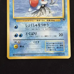 Pokemon Tentacruel Southern Island Regular Japanese Played - Image 4