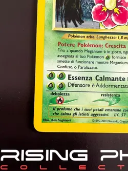 Rising Phoenix Pokemon - Meganium 11/111 Neo Genesis Holo MP Ita #2615 - Image 4