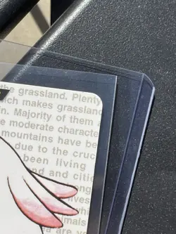 1996 Bandai Carddass Chansey Vending Pokemon Card Sharp Corners - Image 4