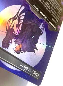 MTG Elegy Acolyte (Borderless Foil) Edge of Eternities 293 NM - Image 5