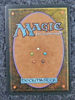 1994 Magic the Gathering - Castle - mint - Revised no play MTG..(DS3D1K7) - Image 2