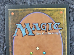 1994 Magic the Gathering - Castle - mint - Revised no play MTG..(DS3D1K7) - Image 4