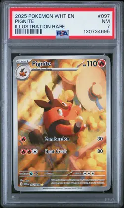 2025 POKEMON WHT EN-WHITE FLARE ILLUSTRATION RARE #097 PIGNITE PSA 7 - Image 1