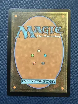 MTG Hedge Maze (Borderless) - Murders at Karlov Manor (MKM) NM - Image 2