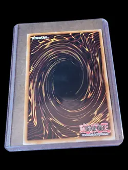🔥Yugioh Mother Grizzly SDRE-EN021 Common 1st Edition - Image 2