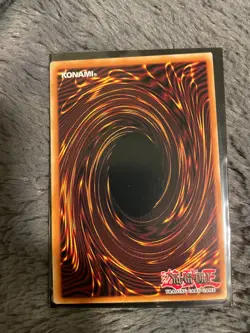 Black Rose Dragon - CT05-EN003 - Limited Edition - Secret Rare - VLP - Image 3