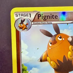 Pokemon TCG Black & White Reverse Holo Pignite 17/114 - Image 4