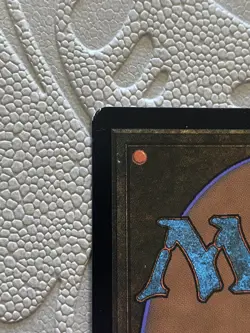 Walk-In Closet Forgotten Cellar - DSK - 205 - LP - MTG - Image 3