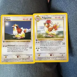 Pokemon Base Set 1st Edition shadowless Pidgey & Pidgeotto 2 Card Lot 1999 - Image 1