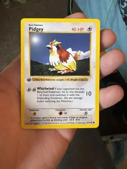 Pokemon Base Set 1st Edition shadowless Pidgey & Pidgeotto 2 Card Lot 1999 - Image 2