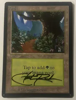 Magic The Gathering MTG FOREST Beta Art Card Signed by Christopher Rush! - Image 1