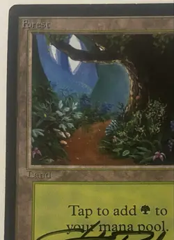 Magic The Gathering MTG FOREST Beta Art Card Signed by Christopher Rush! - Image 2