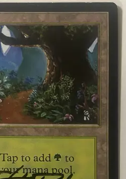 Magic The Gathering MTG FOREST Beta Art Card Signed by Christopher Rush! - Image 3